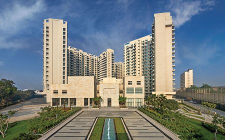 Ambience Creacions Sector 22 – Where Comfort Meets Luxury