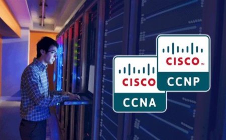 CCNA CCNP Course with Hands On Labs for Better Practical Knowledge