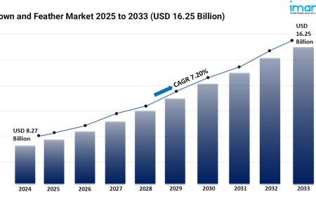 Down and Feather Market Size, Share and Trends Forecast 2025-2033