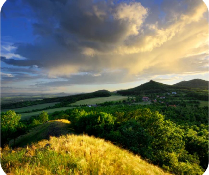 Buy a Lordship Scotland