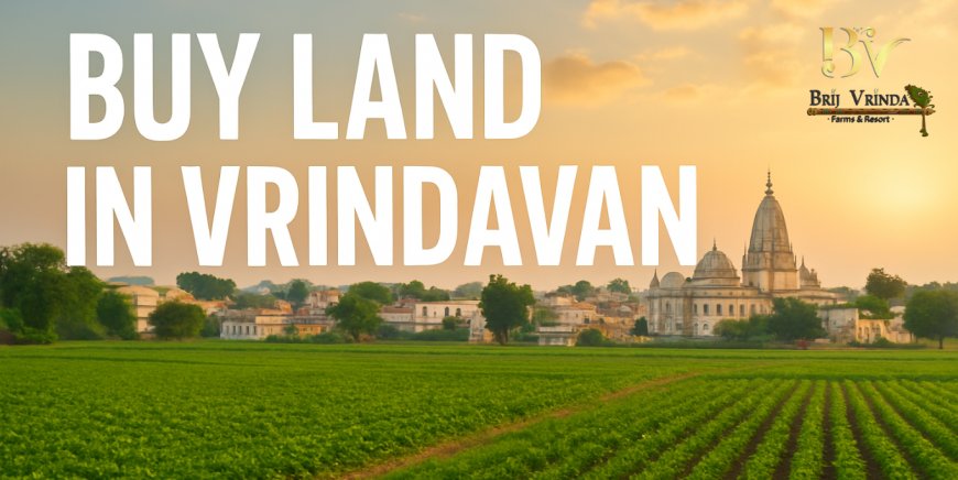 How to Find the Best Agriculture Land For Sale Near Jewar Airport for Long-Term Growth?