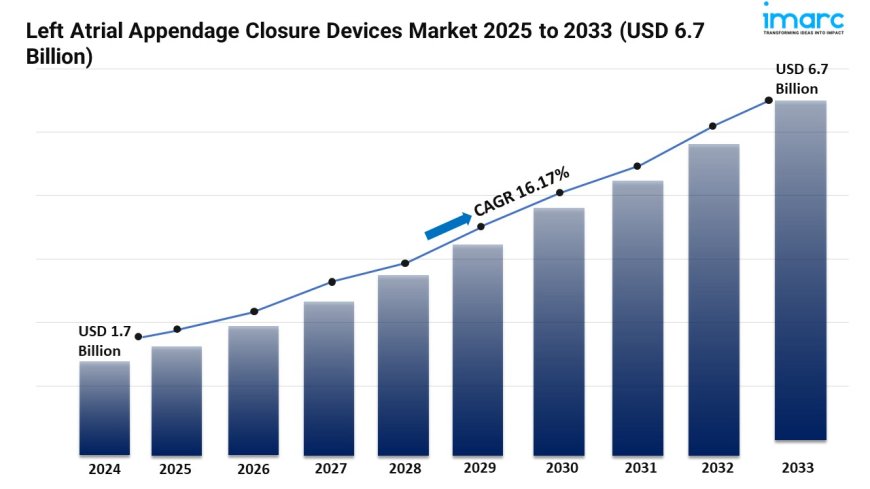 Left Atrial Appendage Closure Devices Market Size and Growth 2025-2033