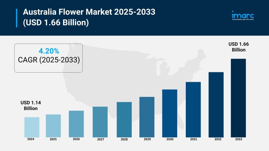 Australia Flower Market Size, Share, Report 2025-2033