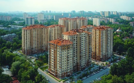 Start Your Next Chapter: Embassy in Prime Cities