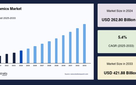 Ceramics Market Industry Evolution, Product Innovations, and Forecast Through 2033
