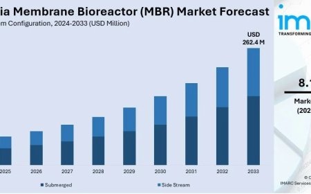 Australia Membrane Bioreactor (MBR) Market Projected to Reach USD 262.4 Million by 2033