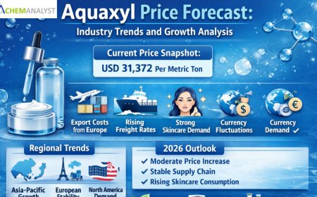 Aquaxyl Price Forecast: Industry Trends and Growth Analysis