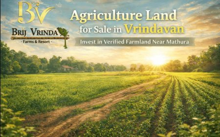 Farm / Agriculture Land For Sale in Vrindavan - Why Is It the Best Investment Opportunity Today?