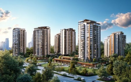 Live Your Rohan Dream: Square, Ethos or Heaven?