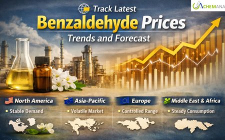 Benzaldehyde Prices: Latest Market Trends, Supply Dynamics, and Forecast Outlook