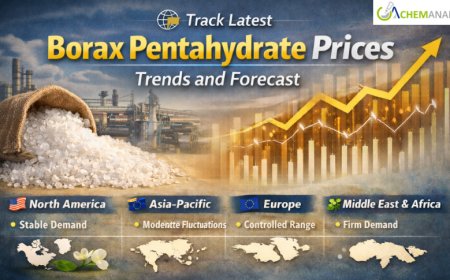 Borax Pentahydrate Prices: Latest Market Trends, Supply Dynamics, and Forecast Outlook