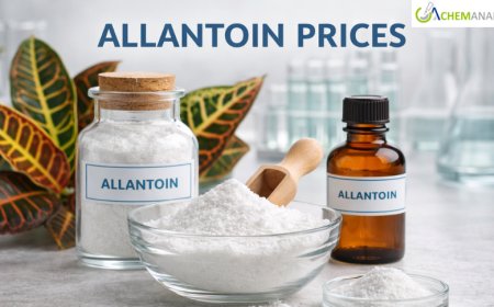 Allantoin Prices: Latest Market Trends, Supply Dynamics, and Forecast Outlook