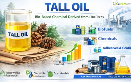 Tall Oil Price Trends in 2026: Industry Insights and Growth Outlook