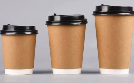 Saudi Arabia Paper Cups Market Industry Analysis, Growth, and Forecast 2026-2034