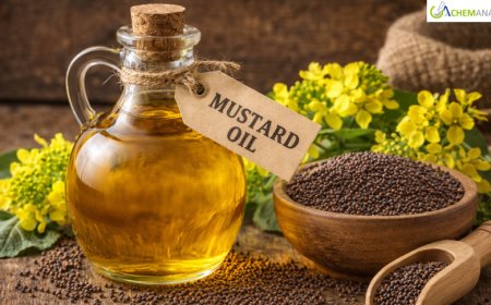Mustard Oil Prices: Latest Market Trends, Demand Analysis, and Forecast Outlook 