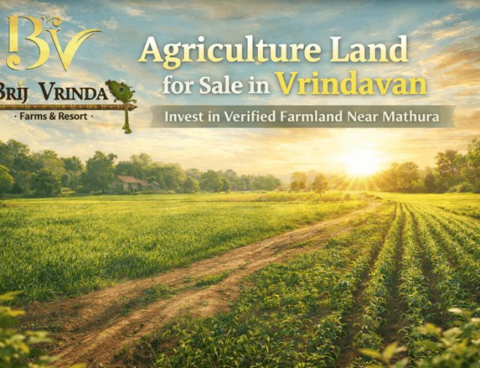 Farm / Agriculture Land For Sale in Vrindavan - Why Is It the Best Investment Opportunity Today?