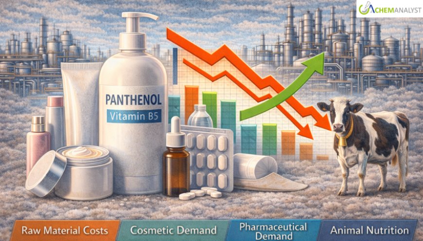 Panthenol Price Trends and Market Analysis: Global Industry Overview