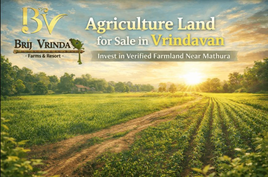 Farm / Agriculture Land For Sale in Vrindavan - Why Is It the Best Investment Opportunity Today?