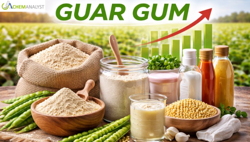 Guar Gum Prices: Latest Market Trends, Supply Dynamics, and Forecast Outlook 2026