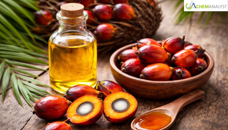 Palm Oil Prices: Latest Market Trends, Supply Dynamics, and Forecast Outlook 