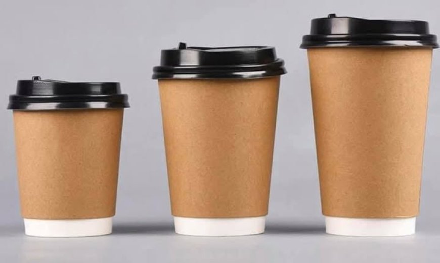 Saudi Arabia Paper Cups Market Industry Analysis, Growth, and Forecast 2026-2034