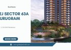 Godrej Sector 63A Gurgaon - Residents Enjoy Peace