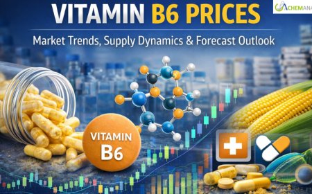 Vitamin B6 Prices: Latest Market Trends, Supply Dynamics, and Forecast Outlook 