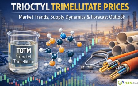 Trioctyl Trimellitate Prices: Latest Market Trends, Supply Dynamics, and Forecast Outlook