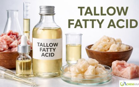 Tallow Fatty Acid Prices: Latest Market Trends, Supply Dynamics, and 2026 Forecast