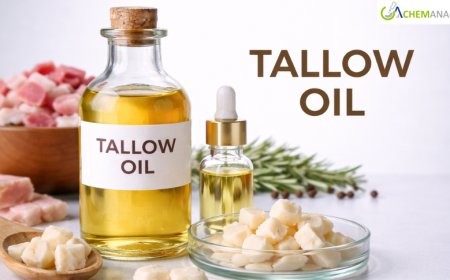 Tallow Oil Prices: Latest Market Trends, Supply Dynamics, and 2026 Forecast