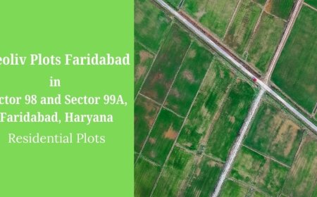 Neoliv Plots Faridabad: A Plotted Development For A Luxury Lifestyle