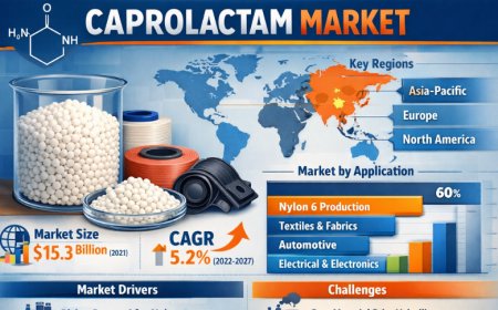 Caprolactam Market: Latest Trends, Size Analysis, and 2026–2036 Forecast