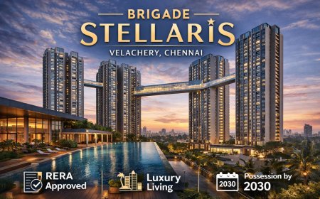Brigade Stellaris Velachery Chennai – What You Must Know Before Investing