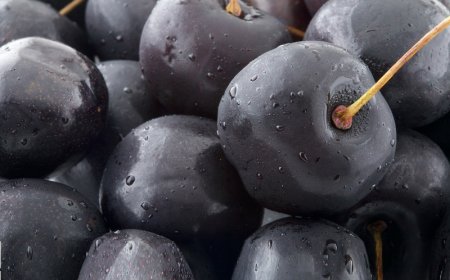 Satellite Launch Services Market Global Analysis and Trends to 2026-2035