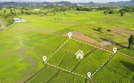 Explore Plotted Land at KNS New Launch Project in Doddaballapur