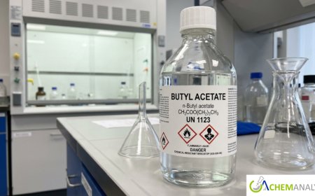 Butyl Acetate Market: Global Trends, Growth Analysis, and Forecast Outlook