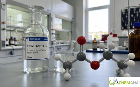 Ethyl Acetate Market: Global Trends, Growth Analysis, and Forecast Outlook