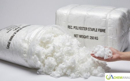 Polyester Staple Fibre Market Outlook: Growth Driven by Textile Demand and Sustainable Fiber Trends