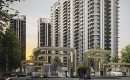 SmartWorld Nature Court: A Future-Ready Address in Gurgaon