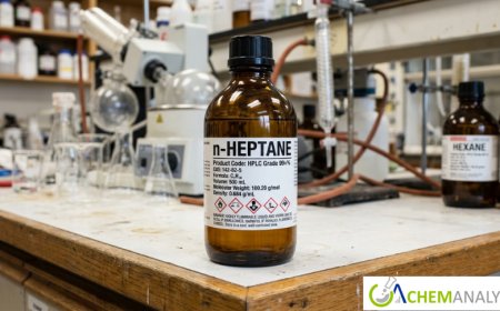 n-Heptane Market: Global Trends, Growth Analysis, and Forecast Outlook