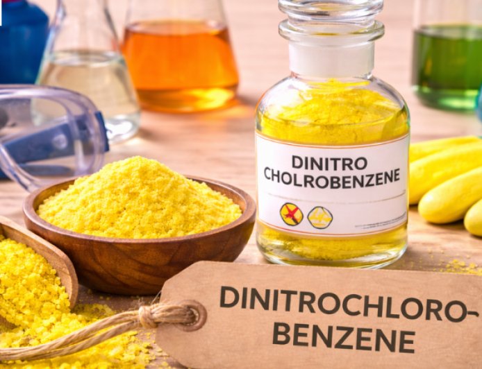 Dinitrochlorobenzene Prices: Latest Market Trends, Supply Dynamics, and 2026 Forecast