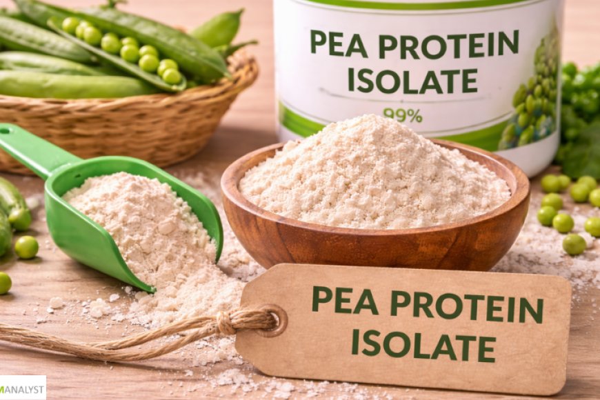 Pea Protein Isolate Prices: Latest Market Trends, Supply Dynamics, and 2026 Forecast