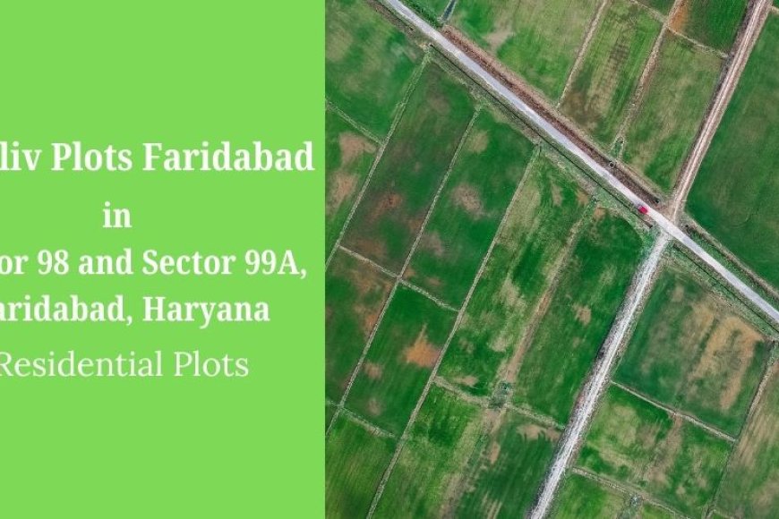 Neoliv Plots Faridabad: A Plotted Development For A Luxury Lifestyle