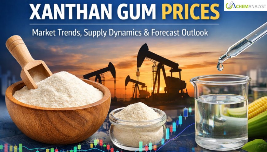 Xanthan Gum Prices: Latest Market Trends, Supply Dynamics, and Forecast Outlook