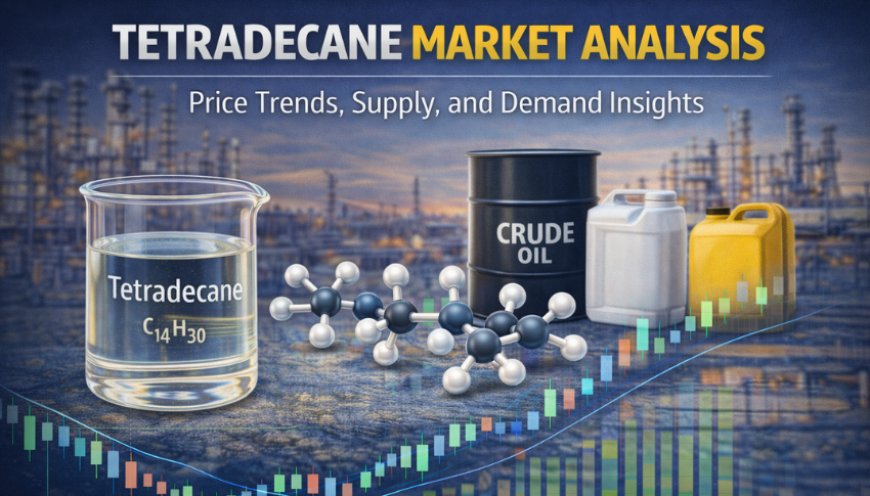 Tetradecane Prices: Latest Market Trends, Supply Dynamics, and Forecast Outlook