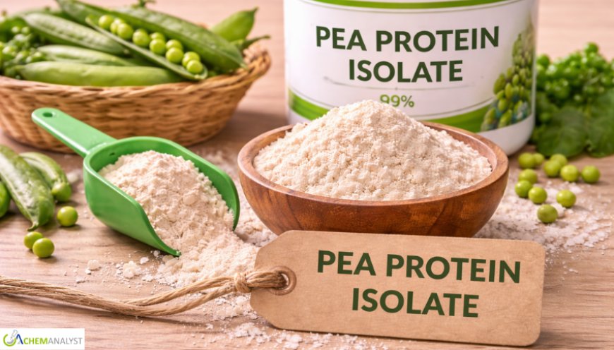 Pea Protein Isolate Prices: Latest Market Trends, Supply Dynamics, and 2026 Forecast