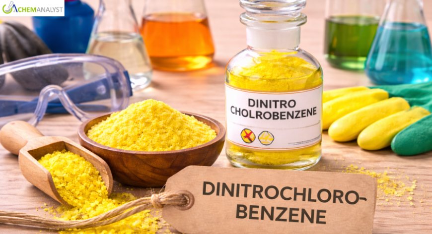 Dinitrochlorobenzene Prices: Latest Market Trends, Supply Dynamics, and 2026 Forecast