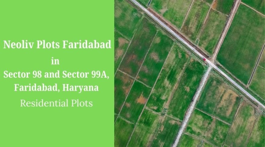 Neoliv Plots Faridabad: A Plotted Development For A Luxury Lifestyle