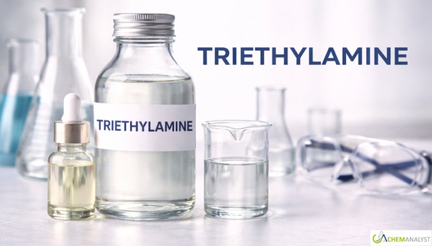 Triethylamine Prices: Latest Market Trends, Supply Dynamics, and 2026 Forecast