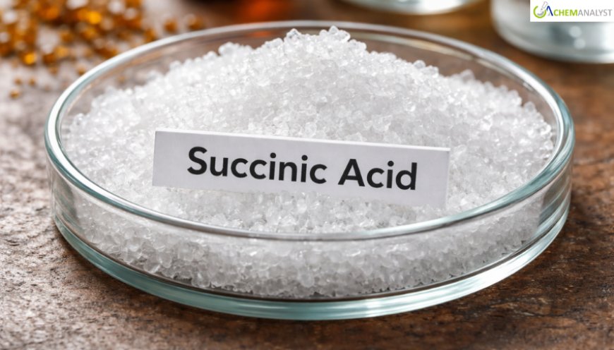 Succinic Acid Prices: Latest Market Trends, Supply Dynamics, and 2026 Forecast